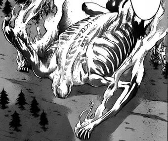 Rhodes Reiss Wiki L Attaque Des Titans Fandom .rod reiss eren vs rod reiss full fight victoria reiss new queen queen victoria kenny died rod reiss titan hd illustration for the attack on titan special event in february. rhodes reiss wiki l attaque des