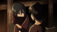 Mikasa receives the red scarf