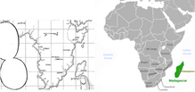 Marley and Paradis compared to Africa and Madagascar