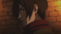 Mikasa stops Louise's talk about freeing Eren