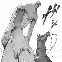 Beast Titan Image Gallery Attack On Titan Wiki Fandom All content must be related to the attack on titan series. beast titan image gallery attack on