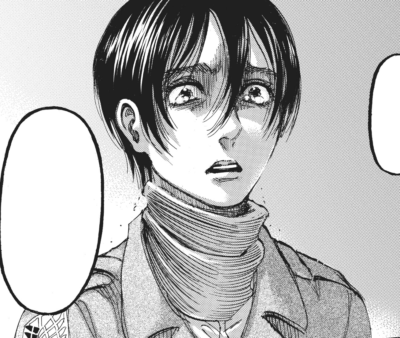 Mikasa Ackerman Attack On Titan Wiki Fandom