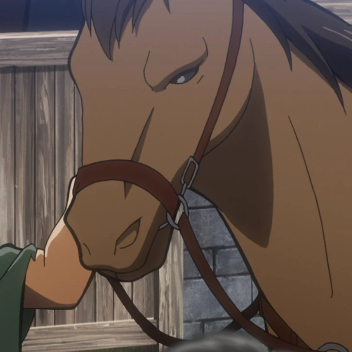 Shingeki No Kyojin Jean Horse
