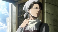 Levi the cleaner