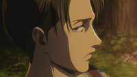 Levi apologizes to Hange