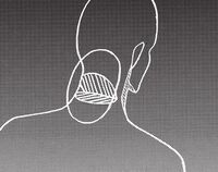 Titan Nape Diagram