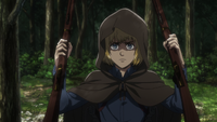 Armin confiscates rifles