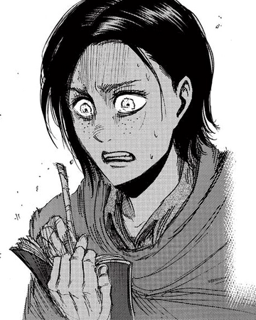Ilse Langnar Attack On Titan Wiki Fandom This is a subreddit dedicated to the discussion of bloodline, a netflix original series. ilse langnar attack on titan wiki
