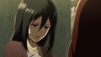 Mikasa wishes to accompany Eren