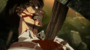 Eren blessé