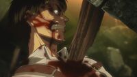 Eren transforms in Stohess