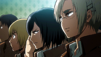 Mikasa is not amused