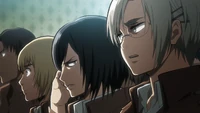 Mikasa is not amused