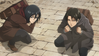 Mikasa sees the enemy take the bait