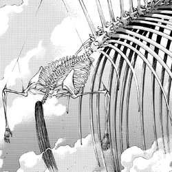 Attack On Titan Wiki Fandom