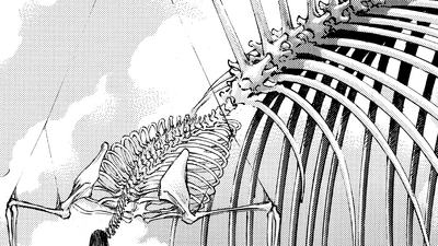Discuss Everything About Attack On Titan Wiki Fandom She never learned how to do that. attack on titan wiki