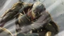 Omnibus 2 thumbnail