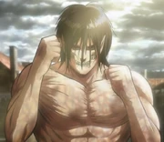 هيئة العملاق الخاصة بإيرين