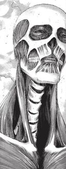 Armin's Colossus Titan's appearance