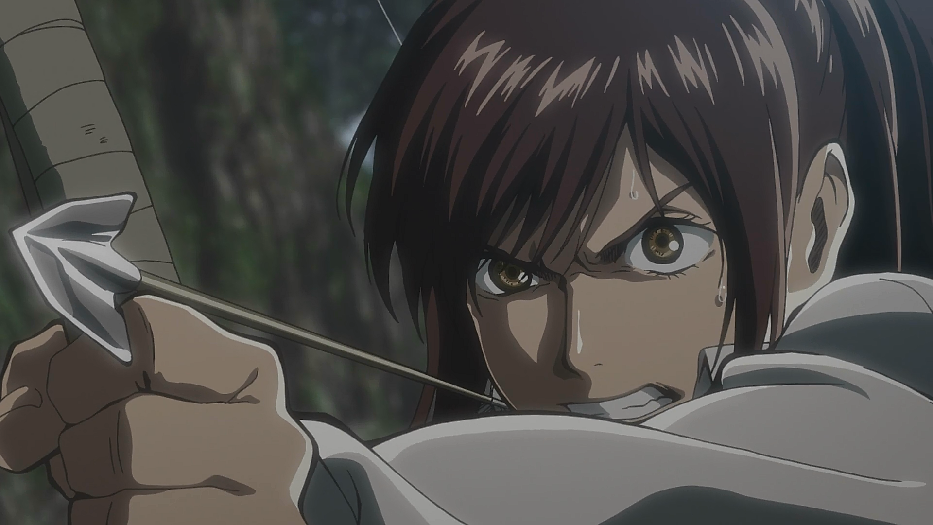 Mikasa Ackerman, Wikia Liber Proeliis