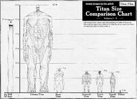 Titan Shifters size comparison