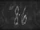 Эпизод 86