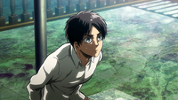 Eren tied to a pole