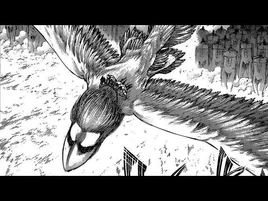 Falco