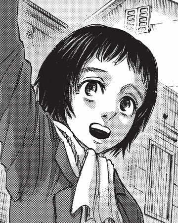 Faye Yeager Attack On Titan Wiki Fandom Fanfics / fanfictions floch forster de todos os tipos. faye yeager attack on titan wiki fandom