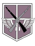艾爾迪亞軍