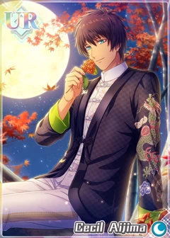 ゲームキャラクター cecil Cecil (Full Art) (075) - Dawn of Heroes - Final Fantasy TCG