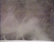 18'swheels.jpg (81 KB)