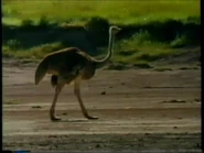 WeDoThingsDifferently21.png (778 KB)