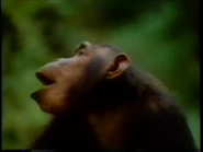 WeDoThingsDifferently28.png (577 KB)