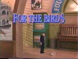 ForTheBirdsTitleCard