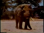 WeDoThingsDifferently47.png (727 KB)