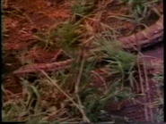 WeDoThingsDifferently45.png (857 KB)