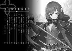 Light Novel Volume 2 | Shinja Zero no Megami-sama to