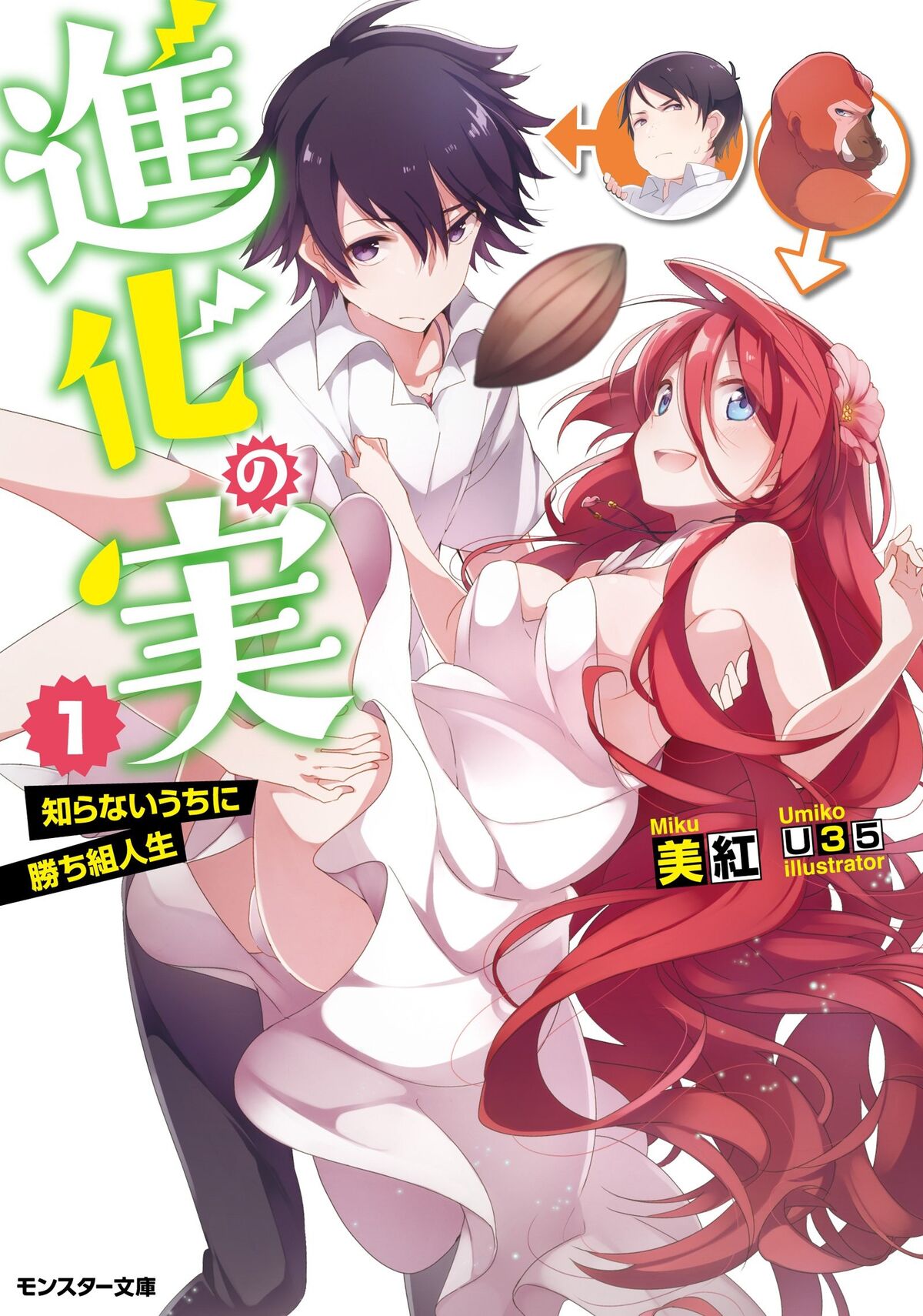 Light Novel Volume 10, Shinka no Mi Wiki