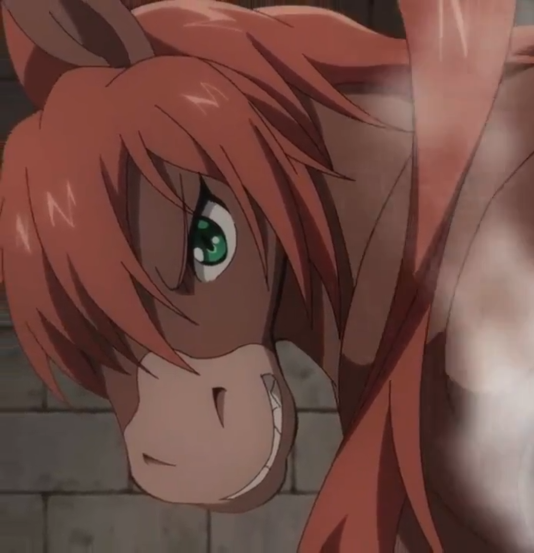 Rurune Shinka no Mi Wiki Fandom