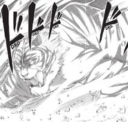 Byakko as it appears in the manga