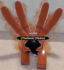 Sun5