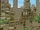 Jejunes Village