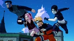 Team 7 Showdown
