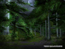 Phantom forest.png