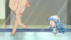 Mini Squid Girl