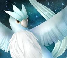 Shiny Articuno after 7,602 SRs in Fire Red!! Legendary Birds Completed! 