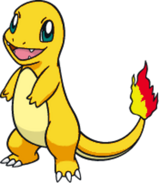 Shiny charmander top