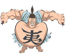 Bijo Bijo no Mi One Piece+BreezeWiki