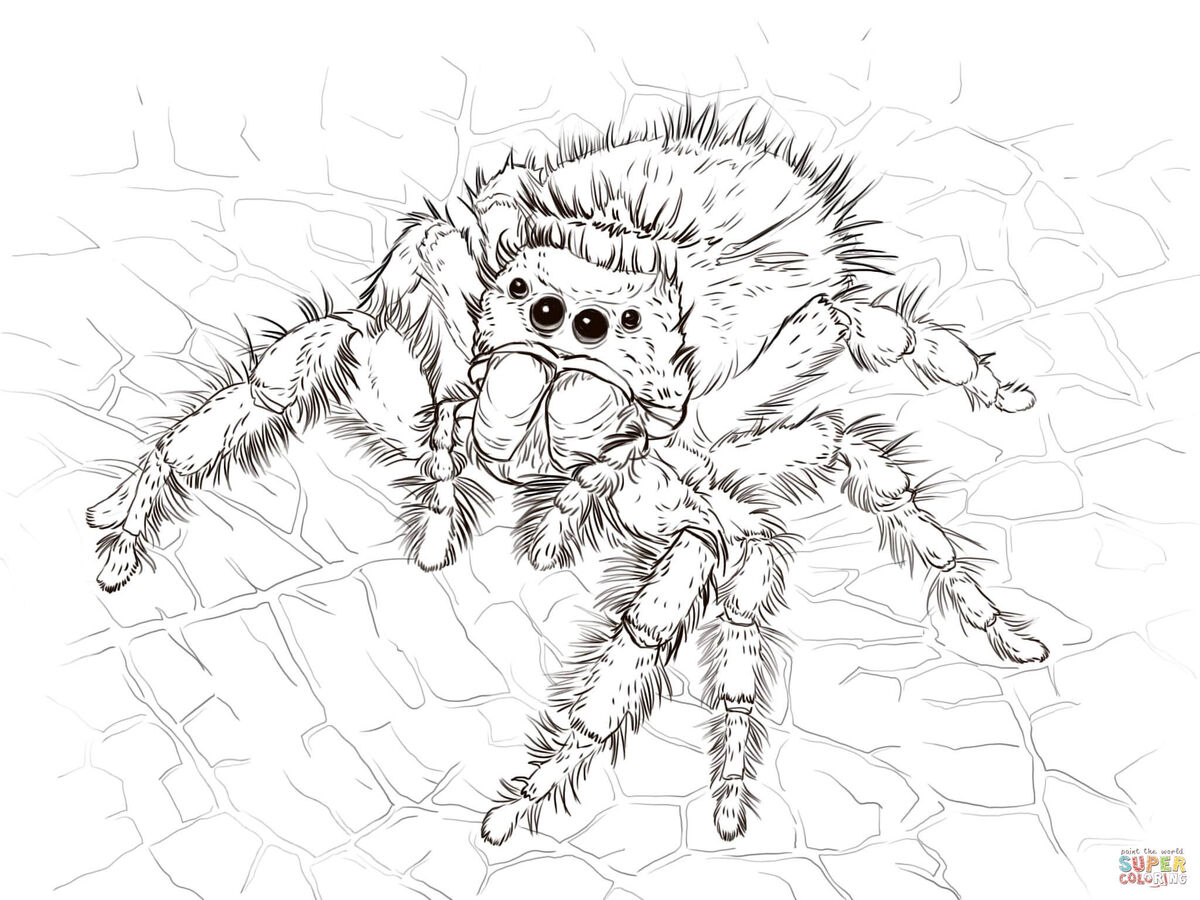 I'm drawed spider fruit!